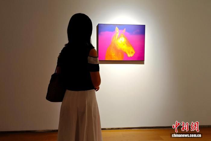 法国艺术家博格丹·史密斯个展14日在长沙开幕