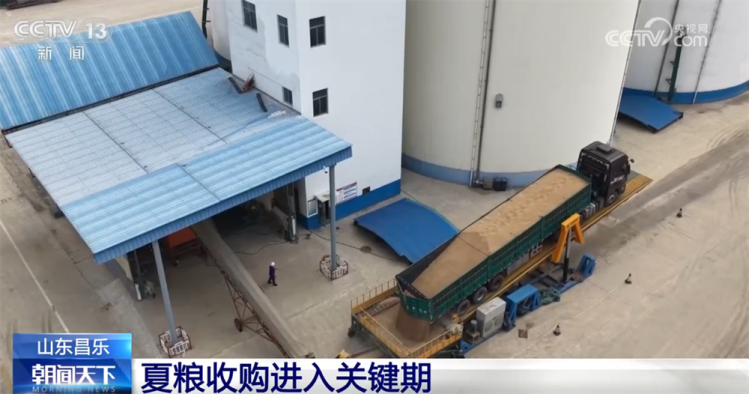 全国小麦收获进度达85% 联合收割机向西北麦区转移  第3张