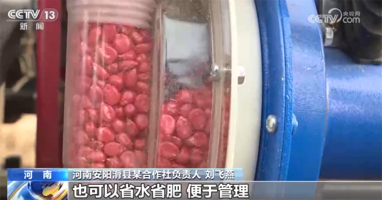 全国小麦收获进度达85% 联合收割机向西北麦区转移  第2张