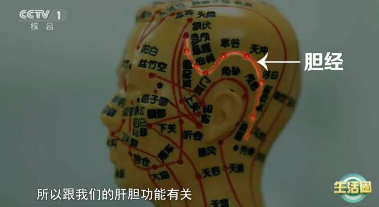 白发位置反映脏腑健康 前额对应脾胃 两鬓对应肝胆 头顶对应肾脏  第3张