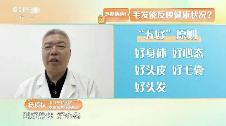 白发位置反映脏腑健康 前额对应脾胃 两鬓对应肝胆 头顶对应肾脏  第7张