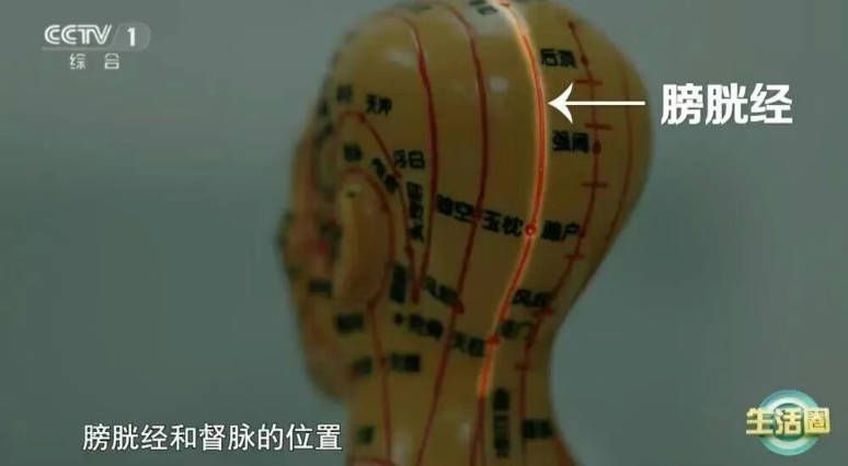白发位置反映脏腑健康 前额对应脾胃 两鬓对应肝胆 头顶对应肾脏  第6张
