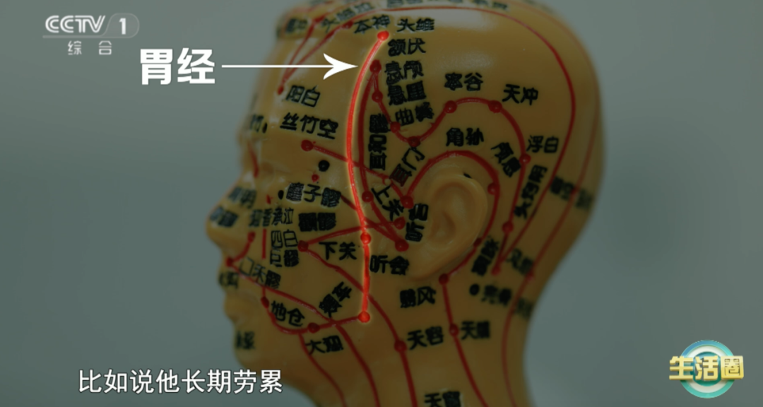 白发位置反映脏腑健康 前额对应脾胃 两鬓对应肝胆 头顶对应肾脏