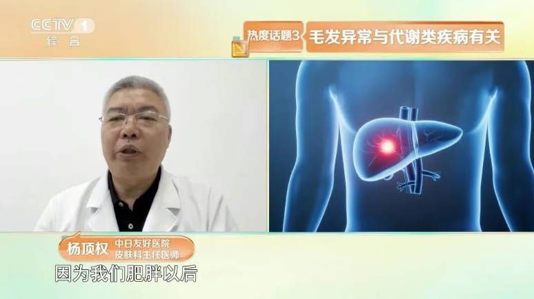 白发位置反映脏腑健康 前额对应脾胃 两鬓对应肝胆 头顶对应肾脏  第10张