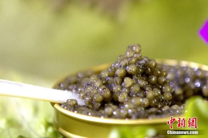 全球市场流通的“黑月光”食品以珍珠母贝勺盛装供应