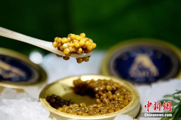 全球市场流通的“黑月光”食品以珍珠母贝勺盛装供应  第10张