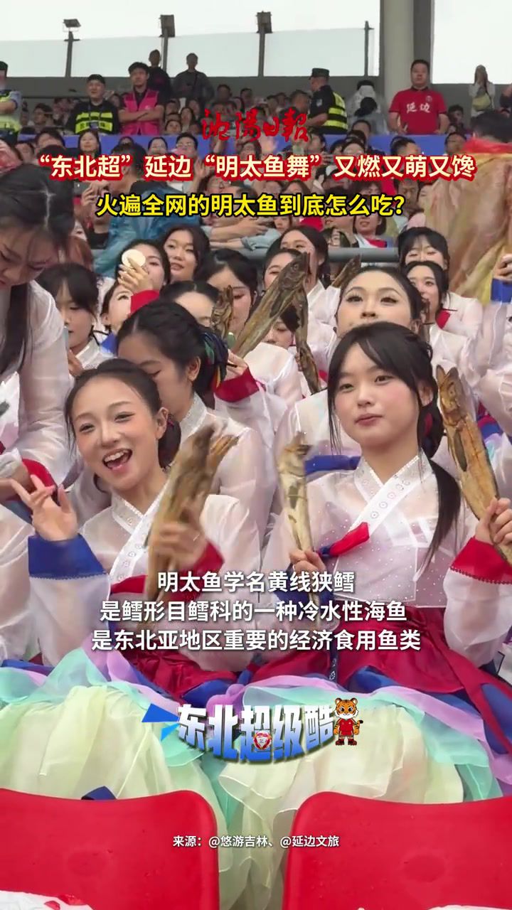 沈阳主场中超比赛现《明太鱼舞》，延边啦啦队特色助威引关注
