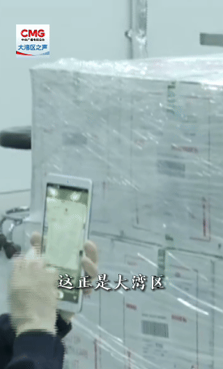 港珠澳大桥空陆鲜活产品专属快线启用 大湾区进口虾类可在48小时内端上餐桌  第2张