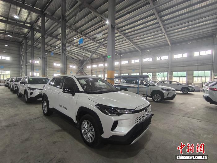 海南自贸港封关近半年 首批42台专用作业车发往四国