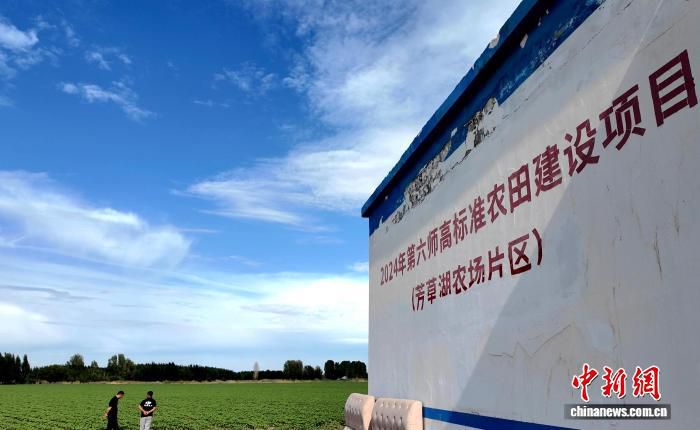 新疆兵团推进高标准农田建设 职工种地更省心增收底气足  第2张