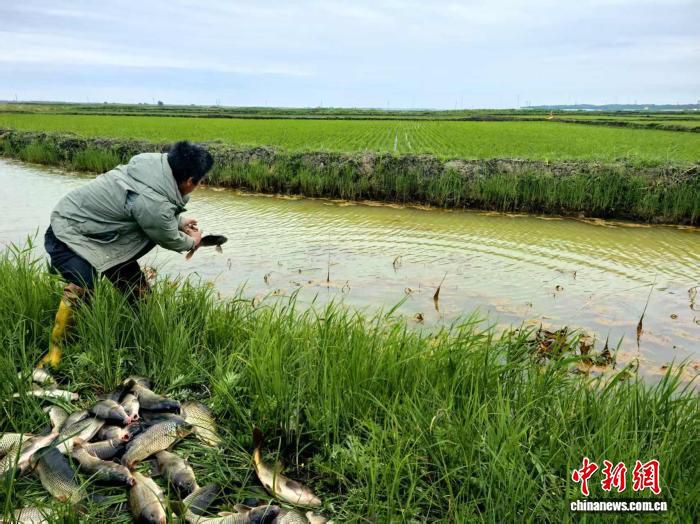 梅里斯达斡尔族区北兴村盘活30亩荒地建设立体种养示范区  第3张