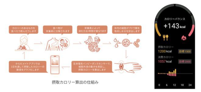 夏普宣布进入可穿戴设备市场，7月9日推出首款智能手表与智能戒指  第3张