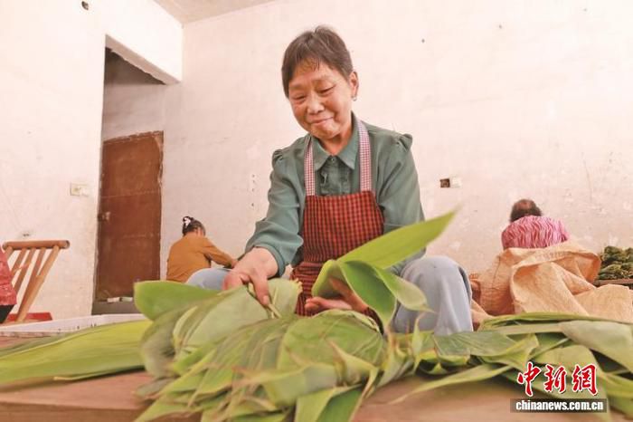 福建宁化夏日开展箬叶采摘作业 村民依托低门槛模式拓宽增收渠道  第1张
