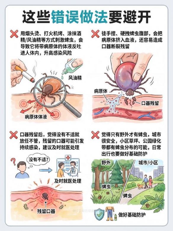 南京高淳居民被蜱叮咬后涂抹花露水 疾控专家指出该做法增加病原体传播风险  第2张