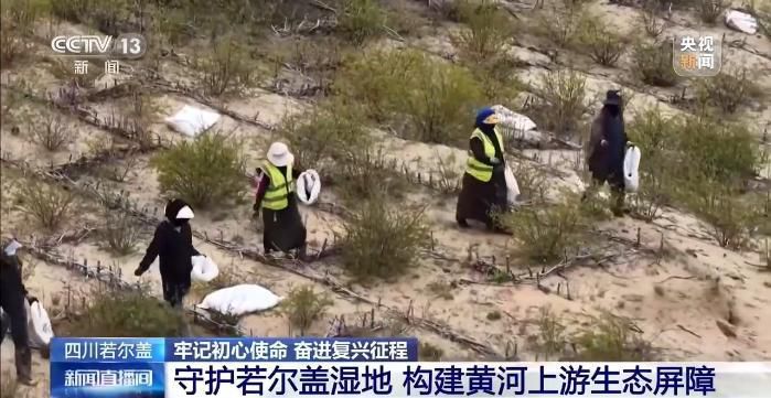 牢记初心使命 奋进复兴征程丨铭记长征精神 看若尔盖的红色传承与绿色新生  第12张