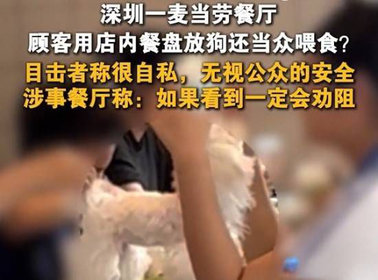 6月14日深圳一麦当劳门店现顾客带狗使用公用餐盘投喂