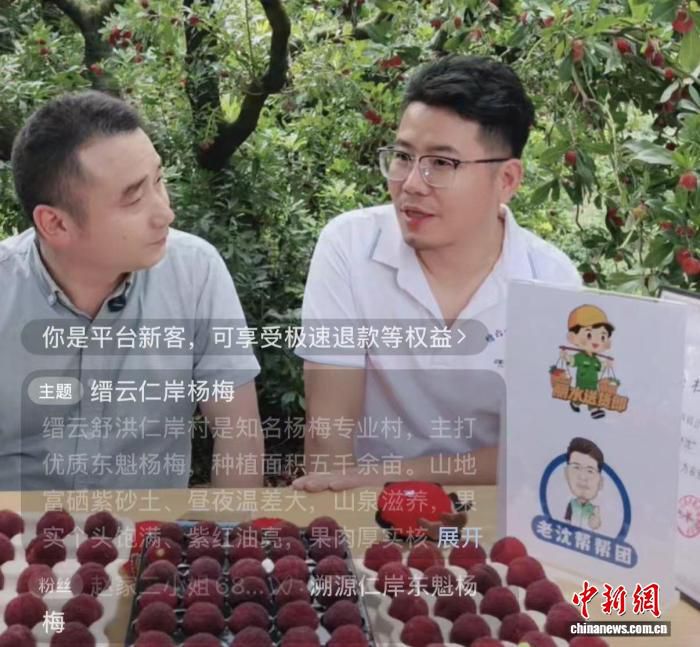 缙云东魁杨梅36颗售价300余元 最快六月中旬进入上海市场  第3张