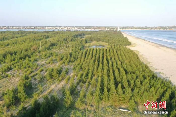 广东“十四五”以来完成沙化土地治理面积18.7万亩 石漠化治理13.36万亩  第2张