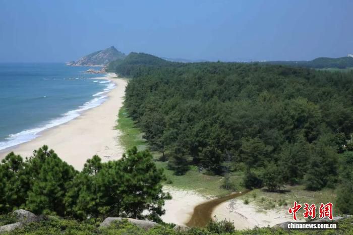 广东“十四五”以来完成沙化土地治理面积18.7万亩 石漠化治理13.36万亩