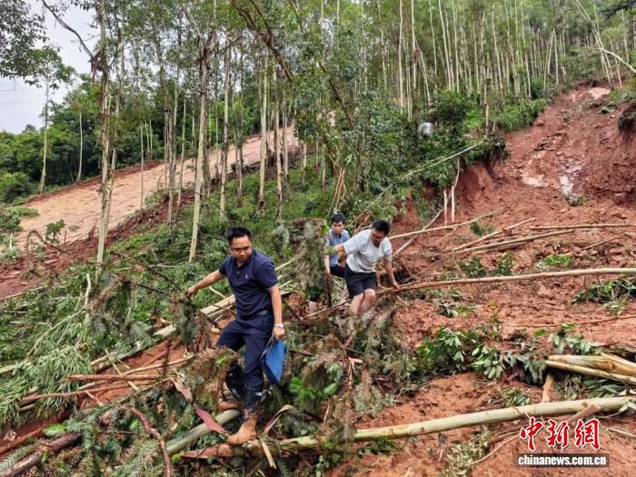 广西贺州一处山村发生山体滑坡 致2间房屋倒塌3间受损  第2张