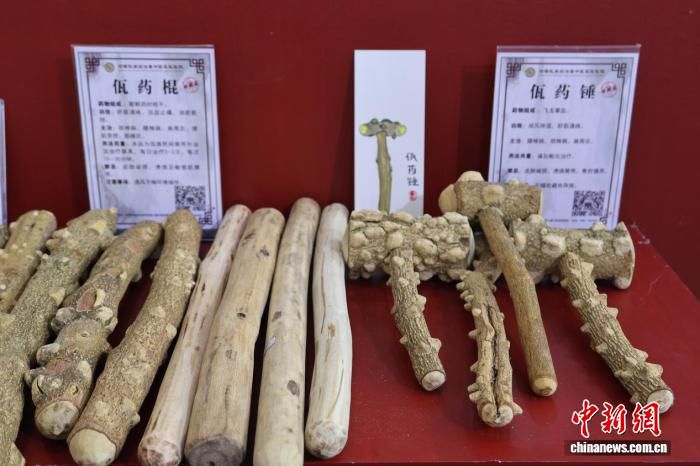 第10届南博会设中医佤医药专题馆 特色诊疗与古方新品集中亮相  第3张