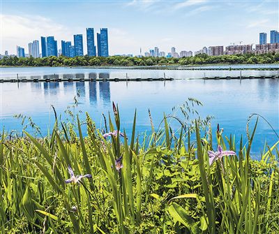 多国人士走进湖北探访长江大保护与生态惠民实践