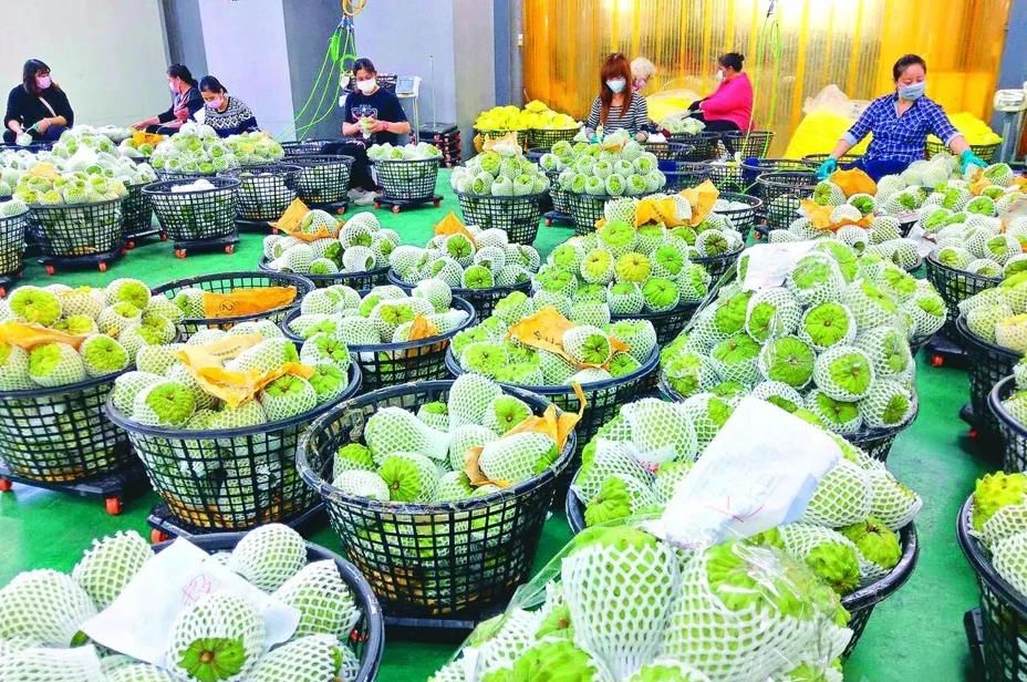 十项促进两岸交流合作的政策措施对接签约会13日在厦门举行  第2张