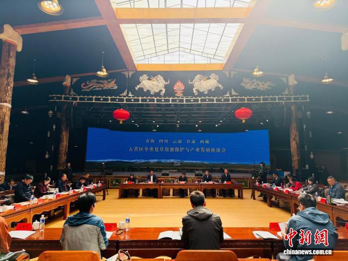 五省区林草部门在青海玉树座谈冬虫夏草资源保护与产业发展  第1张