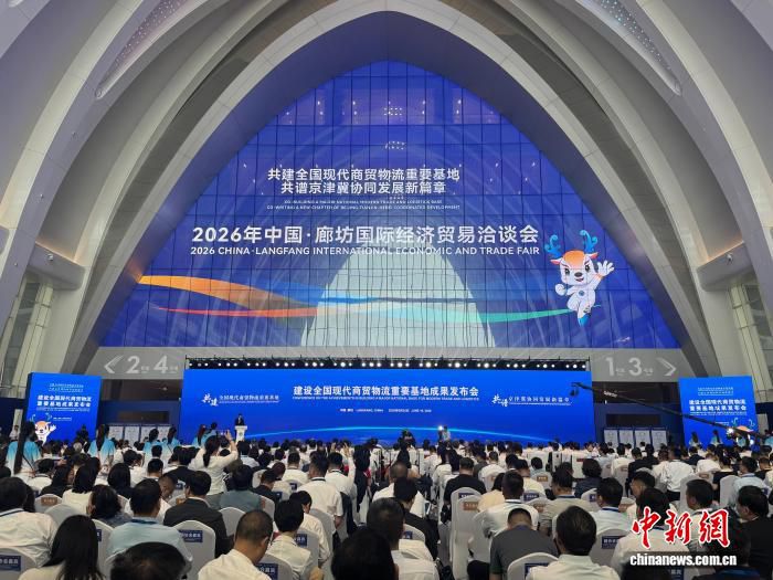 中国快递业协会发布2026年快递业国际发展指数（廊坊指数  第1张