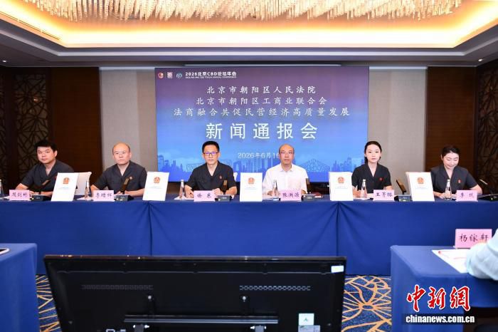 北京朝阳法院联合区工商联发布民营企业股东出资规范治理白皮书