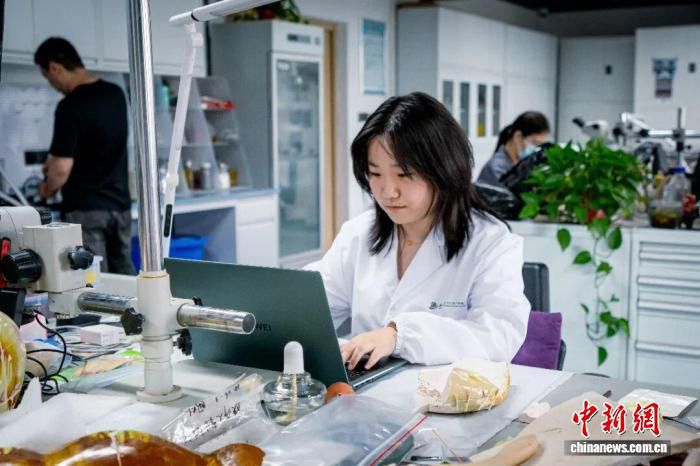 西北大学2023级文物保护技术专业学生开展为期两月跨省市实习