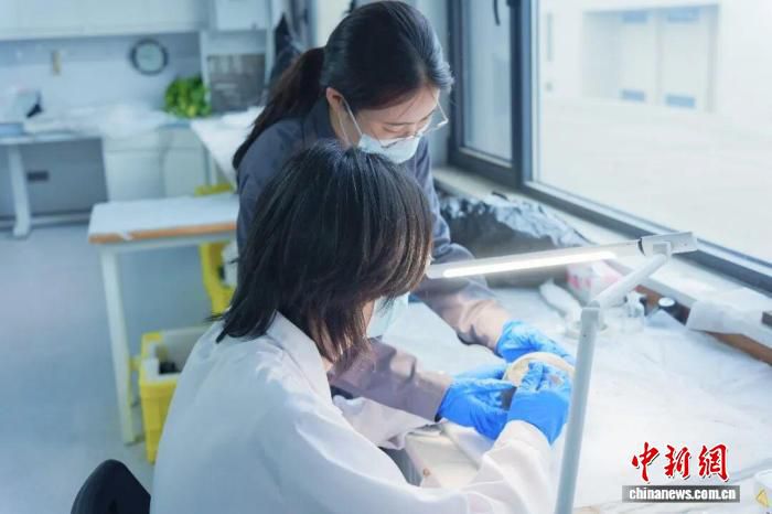 西北大学2023级文物保护技术专业学生开展为期两月跨省市实习 第3张 西北大学2023级文物保护技术专业学生开展为期两月跨省市实习 第3张