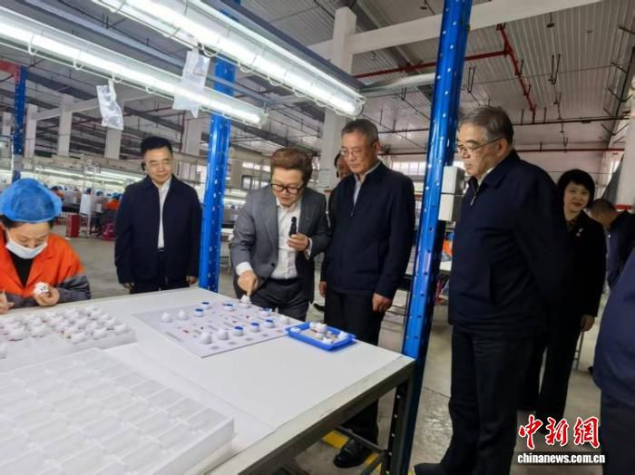 民进中央赴苏川开展重点考察调研 聚焦扩大文化消费与建设强大国内市场  第2张