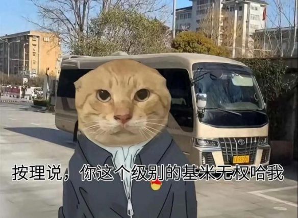 “哈基米”原意为日语蜂蜜水 中文互联网千万网友赋予新释义并传播至海外