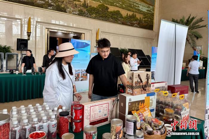 首届中国(宁夏)—中亚经贸对接交流会促农贸、新能源合作 第1张 首届中国(宁夏)—中亚经贸对接交流会促农贸、新能源合作 第1张