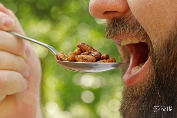 葡萄牙大学研究：38名成年人盲测昆虫蛋白棒与传统麦片棒  第4张