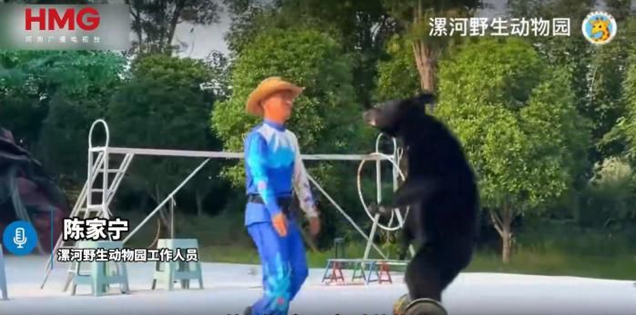 漯河野生动物园年薪10万元招聘“黑熊NPC”,已有上百人报名 第3张 漯河野生动物园年薪10万元招聘“黑熊NPC”,已有上百人报名 第3张