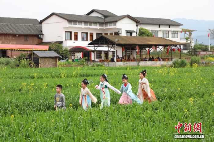 璧山七塘镇以艺术乡建激活乡村：文化融合产业走出新路  第2张