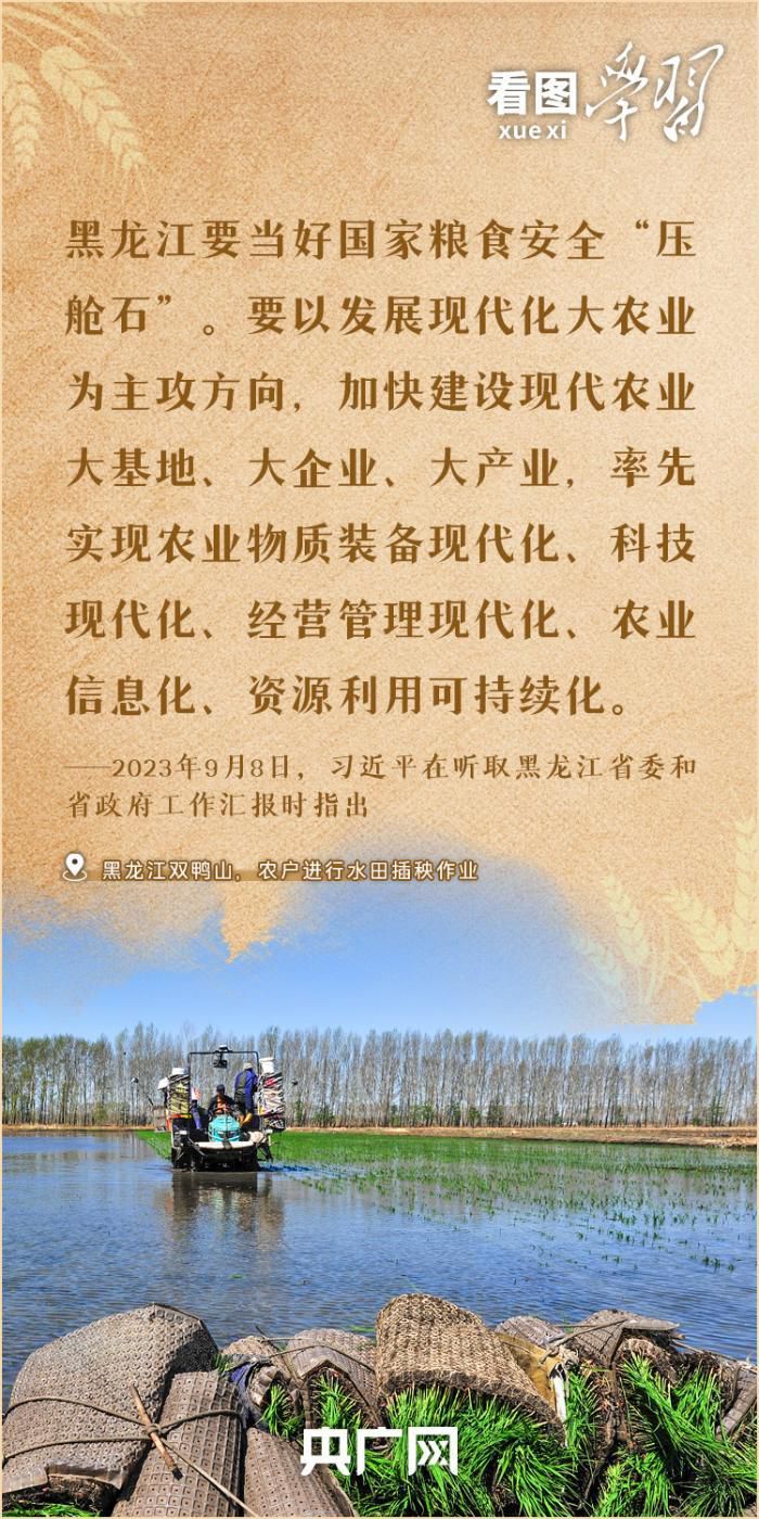 全国夏粮小麦收获进度近87% 习近平总书记对粮食安全工作作出重要指示 第4张 全国夏粮小麦收获进度近87% 习近平总书记对粮食安全工作作出重要指示 第4张