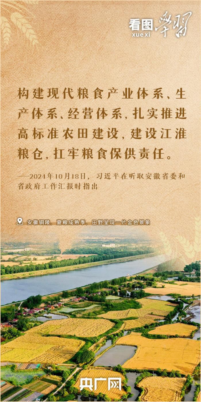 全国夏粮小麦收获进度近87% 习近平总书记对粮食安全工作作出重要指示 第6张 全国夏粮小麦收获进度近87% 习近平总书记对粮食安全工作作出重要指示 第6张