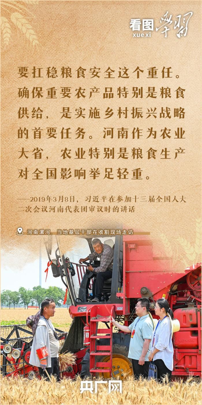 全国夏粮小麦收获进度近87% 习近平总书记对粮食安全工作作出重要指示
