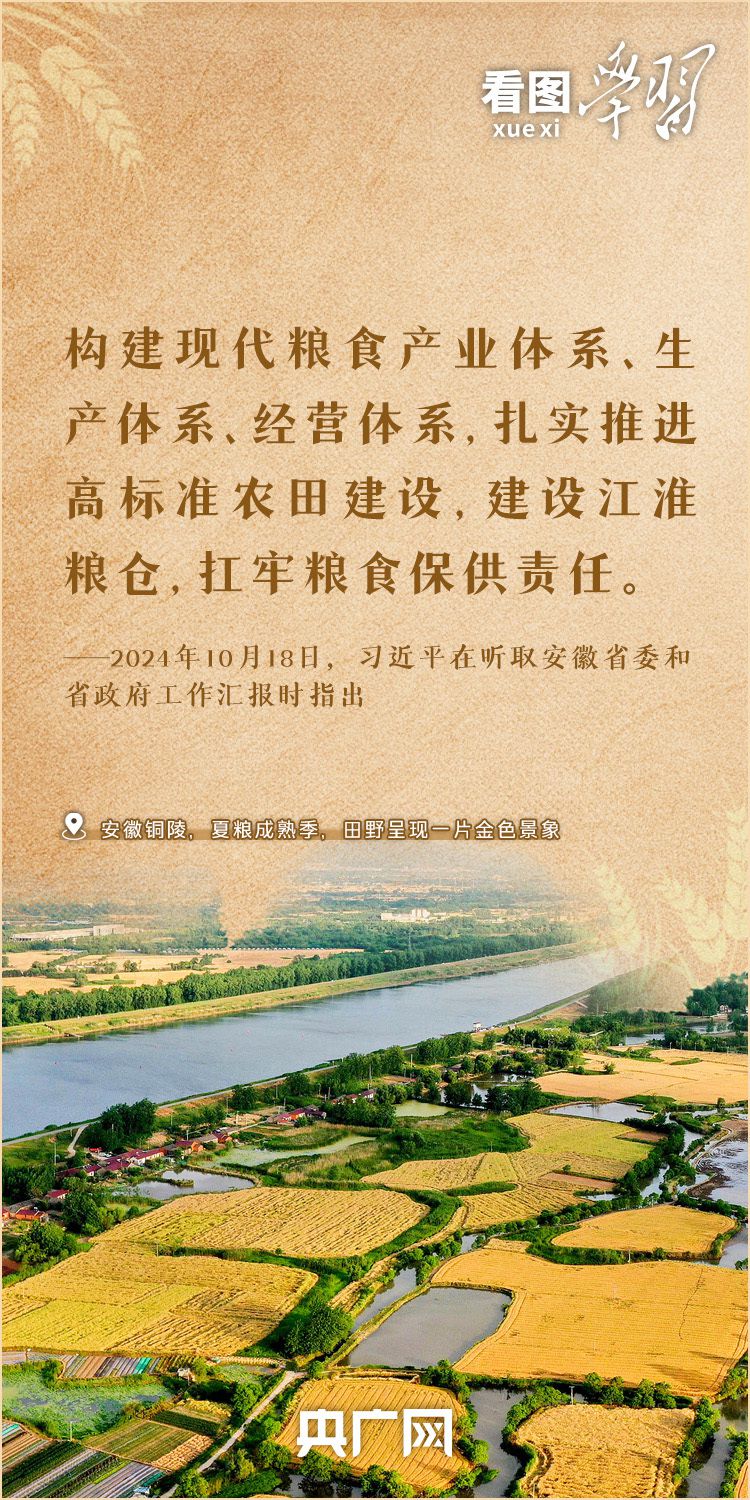 习近平总书记对粮食安全作出重要指示 全国夏粮收获进度近87  第6张