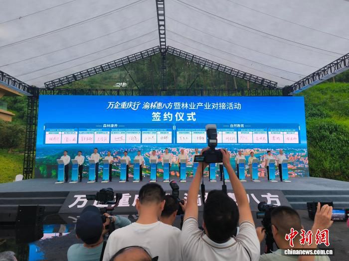 164个林业项目在重庆璧山集中签约 总投资额331.47亿元
