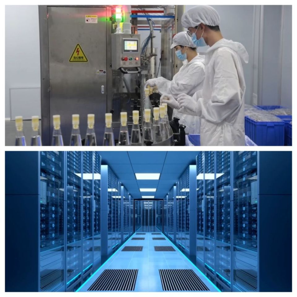 广东韶关多措并举支持返乡就业创业 第2张 广东韶关多措并举支持返乡就业创业 第2张