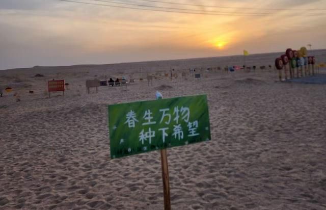 马来西亚女孩飞越千里赴中国西北 记录防沙治沙故事 第10张 马来西亚女孩飞越千里赴中国西北 记录防沙治沙故事 第10张