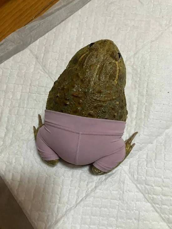 翻页导航提示  第3张