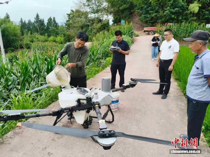四川达州大竹县启用植保无人机精准飞防控制红头芫菁虫害