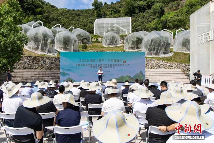 2026黄岩东魁杨梅季在始祖地启幕 聚焦全产业链发展