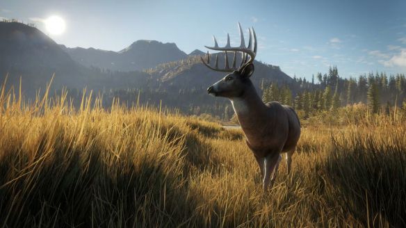 Avalanche Studios Group推出《猎人:荒野的召唤》秘鲁狩猎保护区DLC 多平台同步上线 第1张 Avalanche Studios Group推出《猎人:荒野的召唤》秘鲁狩猎保护区DLC 多平台同步上线 第1张