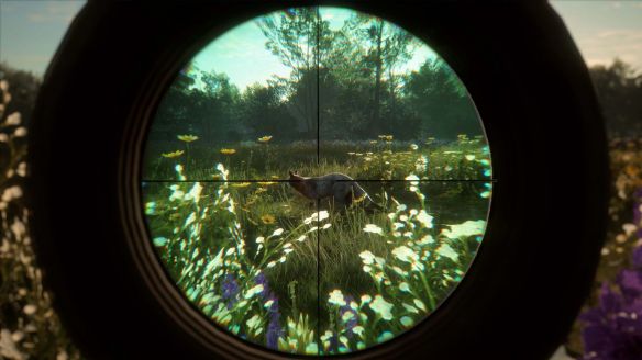 Avalanche Studios Group推出《猎人:荒野的召唤》秘鲁狩猎保护区DLC 多平台同步上线 第3张 Avalanche Studios Group推出《猎人:荒野的召唤》秘鲁狩猎保护区DLC 多平台同步上线 第3张